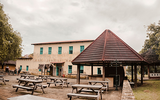 Work portfolio image