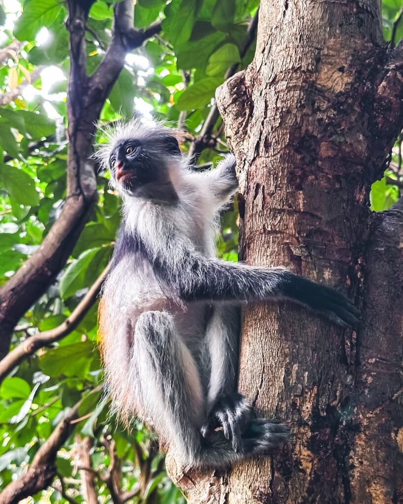 Work portfolio image